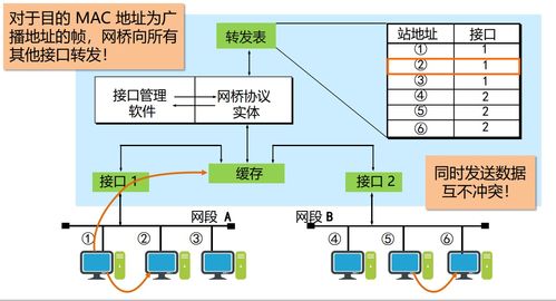 網橋 計算機網絡技術中的關鍵連接者